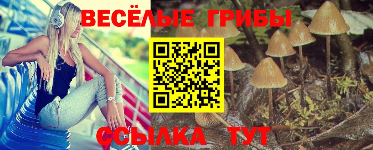 Галлюциногенные грибы мицелий Саянск