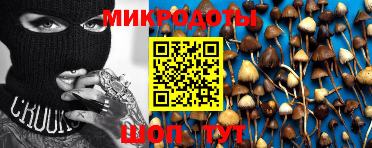 Псилоцибиновые грибы мухоморы  Вход с VPN  Галлюциногенные грибы Cubensis  Саянск 